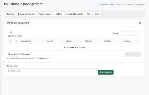 DNS plan from the customer view