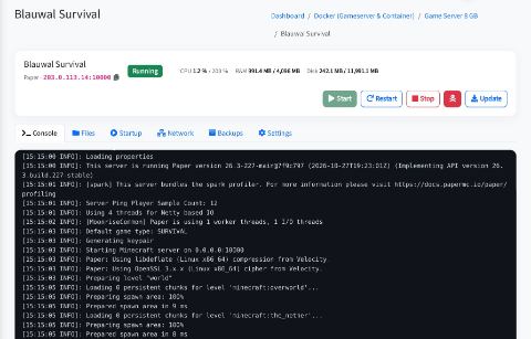 Minecraft server with live console