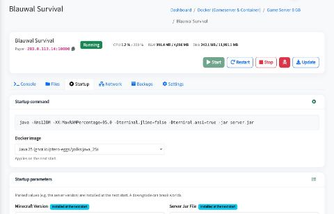 Startup parameters and Java version